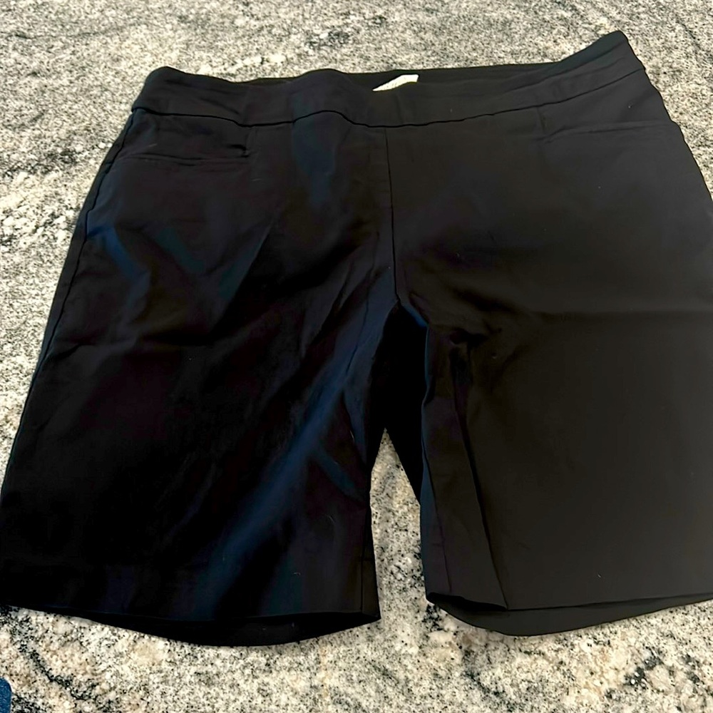 Terra & Sky pull on shorts